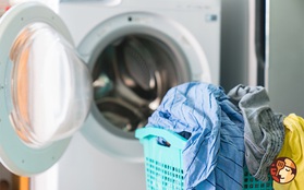 Bỏ 60 triệu mua máy giặt sấy 2 trong 1, mẹ Hà Nội phát hiện đồ trong túi giặt chưa khô và lời lý giải "hợp tình hợp lý"