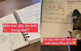 Môn học mà sinh viên RMIT sợ nhất