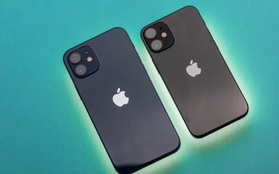 iPhone 2022 sẽ có camera 48MP và loại bỏ phiên bản Mini