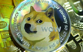 Dogecoin, đồng tiền số mang biểu tượng con chó: Bắt đầu như một trò đùa, giờ đây vốn hóa đạt 40 tỷ USD, nằm trong top 10