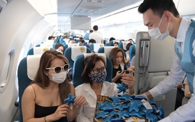 Vietnam Airlines tung hàng loạt chú sao biển bằng bông trên các chuyến bay khiến dân mạng siêu thích thú, và đằng sau còn ẩn chứa một ý nghĩa đặc biệt