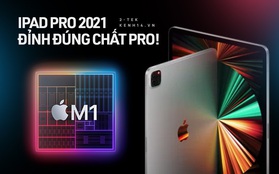 iPad Pro 2021 vừa ra mắt có gì nổi bật mà khiến cộng đồng háo hức chờ "chốt đơn"