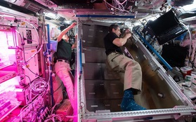 11 người trên Trạm vũ trụ quốc tế, lập kỷ lục mới nhưng phi hành gia lo thiếu chỗ ngủ?