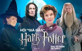 Hội bô lão của Harry Potter sau 20 năm: Thầy Dumbledore 80 tuổi vẫn đóng phim, "ác nữ" Umbridge sắp thành Nữ hoàng Anh trong series cung đấu đình đám