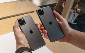 Quên iPhone 12 đi, nhiều mẫu iPhone 11 đang giảm giá cực mạnh, rất đáng để "chốt đơn"