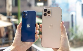 Dạo quanh các đại lý bán lẻ chính hãng Apple, nơi nào có giá iPhone 12 thấp nhất?