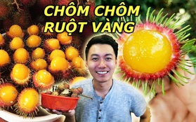 Loại chôm chôm ruột vàng mà ai cũng tưởng nhập khẩu hoá ra lại có đầy ở Việt Nam, khi ăn thì "kẻ khóc người cười"