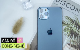 Ai rồi cũng dùng 5G thôi, chọn ngay 1 mẫu smartphone từ 6 triệu sở hữu công nghệ này để không thành người "tối cổ"