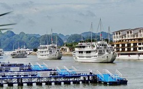 240 chủ tàu tại Quảng Ninh bên bờ phá sản xin giãn nợ
