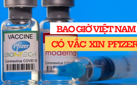 Pfizer nỗ lực để đưa liều vắc xin ngừa COVID-19 đầu tiên về Việt Nam trong tháng 7