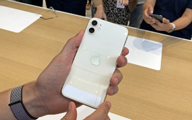 iPhone 11 đang được giảm giá "cực mạnh"