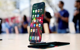 Xuất hiện concept iPhone 13 đẹp mãn nhãn, màn hình cong tràn viền, camera selife ẩn