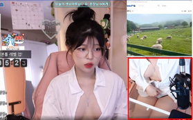 Tuyên bố "thả rông không lo bị phạt", nữ streamer gợi cảm gây sốc khi thêm hẳn camera chỉ để quay vòng một của mình