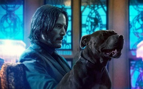 Tiền truyện "sát thủ báo thù" John Wick hé lộ nội dung, chưa gì đã đụng độ chỉ trích vì lý do "trời ơi đất hỡi"