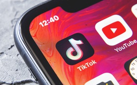 TikTok bắt đầu cấm các quảng cáo tiền ảo để tránh người dùng gặp phải những câu chuyện đáng tiếc