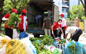 Nông dân "vùng xanh" ở Đà Nẵng gom rau xanh, nông sản gửi tặng "vùng đỏ" Sơn Trà