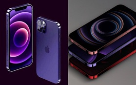 Rò rỉ concept iPhone 13 màu tím cực sang chảnh, nhìn là muốn "chốt đơn" ngay!