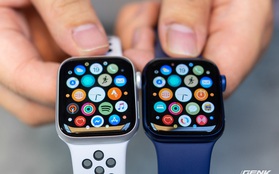 Apple có hơn 100 triệu người dùng Apple Watch