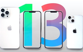 iPhone 13 sẽ không còn tuỳ chọn 64GB, bản Pro và Pro Max có bộ nhớ trong lên tới 1TB