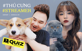 Bạn biết gì về dàn "đại boss" của các streamer nổi tiếng?