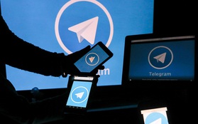 Nhiều tài khoản Telegram bất ngờ gặp lỗi nghiêm trọng