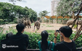 Giám đốc Thảo Cầm Viên: “Chúng tôi chỉ xin hỗ trợ từ UBND TP nhưng rất cảm kích vì cộng đồng đã chung tay”