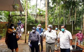 Ấn Độ phát hiện kháng thể với virus Nipah trên 2 loài dơi