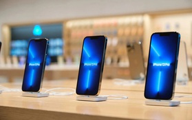 iPhone 13 "delay" cả tháng khắp Á, Âu hoá ra vì thiếu một linh kiện quan trọng sản xuất tại Việt Nam