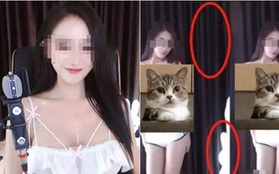 Bất ngờ bị rò rỉ video 18+ có cảnh ngực trần chỉ dành cho "fan cứng", nữ streamer thản nhiên như không dù bị tìm ra danh tính