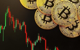 Dòng tiền "chảy ra" khỏi thị trường tiền số cao kỷ lục trong bối cảnh Bitcoin "đỏ lửa" nhiều tuần liên tiếp