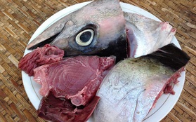 Cá có đầy chất dinh dưỡng nhưng 4 bộ phận này của cá thì nên vứt bỏ chứ đừng dại mà ăn