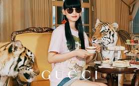 Thương hiệu xa xỉ Gucci gây tranh cãi vì dùng hổ thật quay quảng cáo