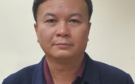 Khởi tố, bắt giam Chủ tịch Công ty Công viên cây xanh Hà Nội