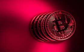 Bitcoin rớt khỏi ngưỡng 40.000 USD, sắc đỏ bao trùm khắp thị trường tiền ảo