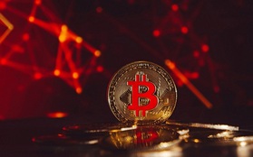 Bitcoin lại giảm sốc, lao dốc về vùng giá thấp kỷ lục trong vòng 6 tháng