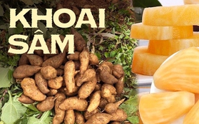 Đặc sản của Lào Cai giá chỉ 20 nghìn đồng/kg, nhìn tưởng khoai lang nhưng thơm mùi nhân sâm