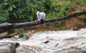 Thót tim cảnh cô giáo vùng cao bám thân cây vượt suối đi dạy học