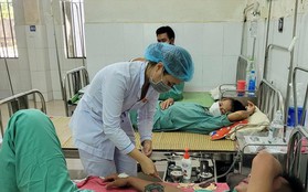 Quảng Nam ghi nhận 11.880 ca sốt xuất huyết, cao nhất miền Trung, có ca tử vong