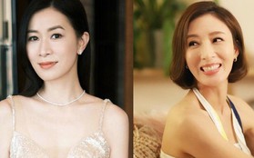 TVB mời Xa Thi Mạn, Dương Di trở lại để cứu vớt rating
