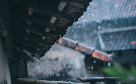 Tiếng mưa: "Điệp khúc ru" giúp con người ngủ ngon