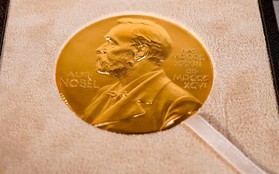 Người đoạt giải Nobel được lựa chọn như thế nào?