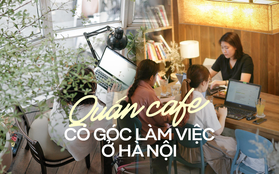 Những quán cafe “tạo động lực” cho dân văn phòng Hà Nội làm việc năng suất cả ngày