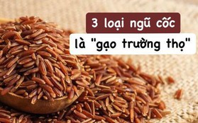 3 loại ngũ cốc là "gạo trường thọ", ít người biết cách tận dụng