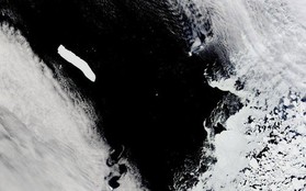 Tảng băng trôi lớn nhất thế giới đang bị cuốn trôi khỏi Nam Cực và có nguy cơ tan chảy hoàn toàn