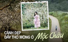 Cảnh sắc Mộc Châu những ngày chớm đông khiến hội mê sống ảo không thể bỏ lỡ