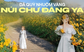 Hoa dã quỳ nở vàng óng dưới chân ngọn núi lửa triệu năm ở Gia Lai khiến dân tình rộn ràng đến “sống ảo”