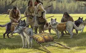 Truyện thần thoại hé lộ nguồn gốc xa xưa của mối quan hệ giữa con người và loài chó