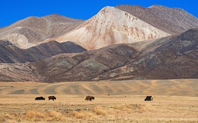 Cao nguyên Thanh Hải - Tây Tạng trên dãy Himalaya nguy cơ sụp đổ