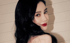 Angelababy tụt dốc danh tiếng