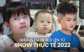 Những nhóc tỳ "gây bão" sóng truyền hình 2022: Chị em "hot girl Tây Hồ" nổi nhất MXH!